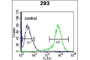 CDK8 Antibody (Center) (ABIN655911 and ABIN2845310) flow cytometric analysis of 293 cells (right histogram) compared to a negative control cell (left histogram). (CDK8 anticorps  (AA 249-277))