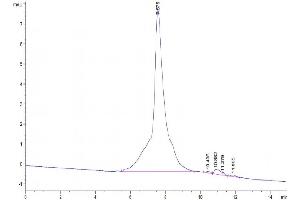 The purity of Mouse TNFRSF11B is greater than 95 % as determined by SEC-HPLC.