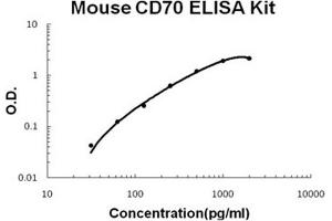 Mouse CD70/TNFSF7/cd27L PicoKine ELISA Kit standard curve