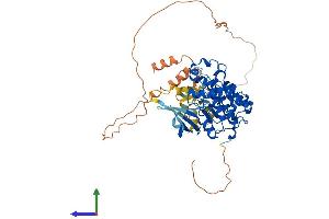 AlphaFold protein structure predicition of Human Recombinant CDK17 Protein, UniprotID Q00537