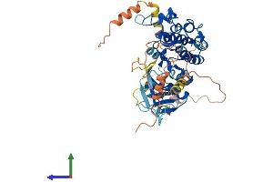 AlphaFold protein structure predicition of Human Recombinant MAP3K8 Protein, UniprotID P41279
