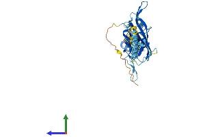 AlphaFold protein structure predicition of Mouse Recombinant Kcnj15 Protein, UniprotID O88932