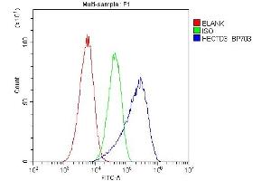 Flow Cytometry analysis of A549 cells using anti-HECTD3 antibody (ABIN6719595).