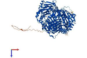 AlphaFold protein structure predicition of Mouse Recombinant Ide Protein, UniprotID Q9JHR7