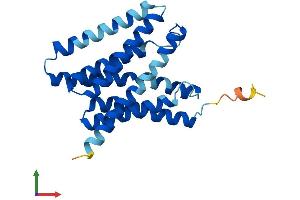 AlphaFold protein structure predicition of Human Recombinant SLC50A1 Protein, UniprotID Q9BRV3