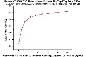 Immobilized Human CD3E&CD3G Heterodimer Protein, His Tag&Tag Free (ABIN6973002) at 1 μg/mL (100 μL/well) can bind Monoclonal A CD3 Antibody, Mouse IgG2a (Clone: OKT3) with a linear range of 0. (CD3E & CD3G (AA 23-126) (Active) protein (His tag))