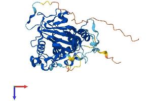 AlphaFold protein structure predicition of Human Recombinant ALKBH1 Protein, UniprotID Q13686