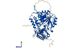 AlphaFold protein structure predicition of Mouse Recombinant Tat Protein, UniprotID Q8QZR1 (Tat (AA 1-454) protein (His tag))