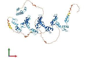 AlphaFold protein structure predicition of Human Recombinant ZNF133 Protein, UniprotID P52736