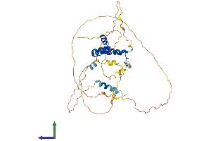 AlphaFold protein structure predicition of Mouse Recombinant Sox7 Protein, UniprotID P40646