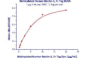 Image no. 2 for Poliovirus Receptor-Related 2 (Herpesvirus Entry Mediator B) (PVRL2) (AA 32-360) (Active) protein (Fc Tag,AVI tag,Biotin) (ABIN5526673)