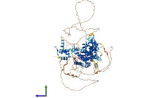 AlphaFold protein structure predicition of Human Recombinant OTUD7B Protein, UniprotID Q6GQQ9
