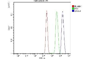 Flow Cytometry analysis of K562 cells using anti-GATA1 antibody (ABIN7602077).