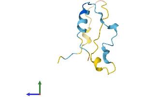 AlphaFold protein structure predicition of Mouse Recombinant Camk2n1 Protein, UniprotID Q6QWF9