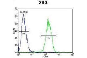 Flow cytometric analysis of 293 cells using Interleukin-17F / IL17F Antibody (N-term) Cat. (IL17F anticorps  (N-Term))
