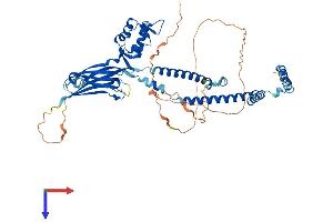 AlphaFold protein structure predicition of Mouse Recombinant Smarcd2 Protein, UniprotID Q99JR8