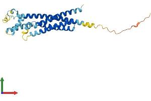 AlphaFold protein structure predicition of Mouse Recombinant Tspan32 Protein, UniprotID Q9JHH2