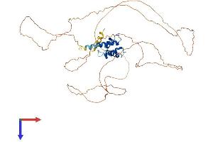 AlphaFold protein structure predicition of Human Recombinant CRNN Protein, UniprotID Q9UBG3