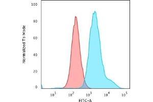 Flow Cytometric Analysis of PFA-fixed HeLa cells using Cytokeratin 7 Rabbit Recombinant MAb (KRT7/1499R) followed by Goat anti-rabbit IgG-CF488 (Blue); Isotype Control (Red)