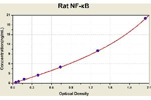 Diagramm of the ELISA kit to detect Rat NF-? (NFKB1 Kit ELISA)