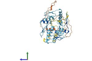 AlphaFold protein structure predicition of Human Recombinant ZNF763 Protein, UniprotID Q0D2J5