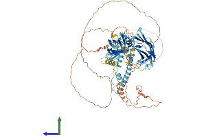 AlphaFold protein structure predicition of Human Recombinant SYTL5 Protein, UniprotID Q8TDW5