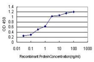 Detection limit for recombinant GST tagged ICOSLG is approximately 0. (ICOSLG anticorps  (AA 20-302))