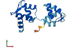 AlphaFold protein structure predicition of Mouse Recombinant Calml4 Protein, UniprotID Q91WQ9