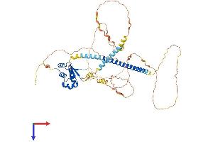 AlphaFold protein structure predicition of Human Recombinant HSF1 Protein, UniprotID Q00613