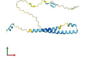 AlphaFold protein structure predicition of Mouse Recombinant Itgb3bp Protein, UniprotID Q9CQ82