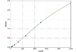 Doublecortin-Like Kinase 1 (DCLK1) ELISA Kit