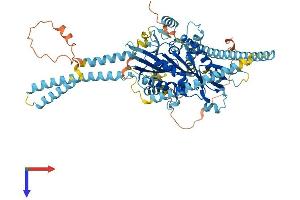 AlphaFold protein structure predicition of Mouse Recombinant Kif3a Protein, UniprotID P28741