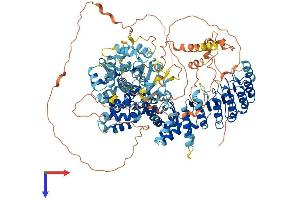 AlphaFold protein structure predicition of Human Recombinant CIITA Protein, UniprotID P33076