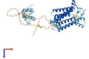 AlphaFold protein structure predicition of Mouse Recombinant Sgms1 Protein, UniprotID Q8VCQ6