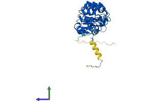 AlphaFold protein structure predicition of Mouse Recombinant Fbxl15 Protein, UniprotID Q91W61