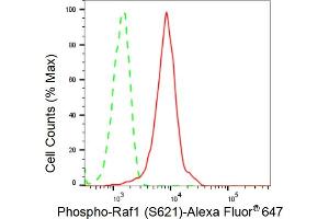 Flow cytometric analysis of Phospho-Raf1 (S621) expression in HeLa cells using Phospho-Raf1 (S621) antibody (ABIN7800799), 1:2,000).