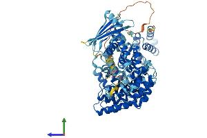 AlphaFold protein structure predicition of Mouse Recombinant Ap4b1 Protein, UniprotID Q9WV76