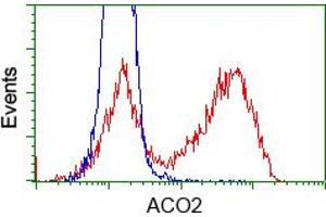 Image no. 2 for anti-Aconitase 2, Mitochondrial (ACO2) antibody (ABIN1496411) (ACO2 anticorps)