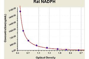Diagramm of the ELISA kit to detect Rat NADPHwith the optical density on the x-axis and the concentration on the y-axis. (NADPH Kit ELISA)
