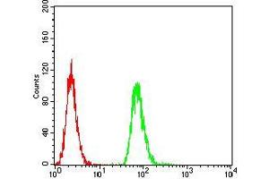 Flow cytometric analysis of MCF-7 cells using HLA-DRA mouse mAb (green) and negative control (red).