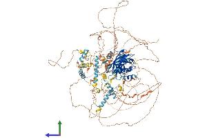 AlphaFold protein structure predicition of Human Recombinant PER2 Protein, UniprotID O15055