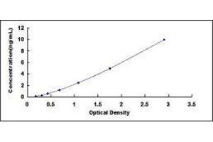 ELISA image for Fibroblast Growth Factor Receptor 3 (FGFR3) ELISA Kit (ABIN417740)