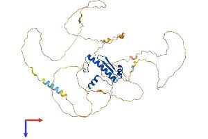 AlphaFold protein structure predicition of Human Recombinant MEF2C Protein, UniprotID Q06413