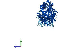 AlphaFold protein structure predicition of Human Recombinant TTC5 Protein, UniprotID Q8N0Z6
