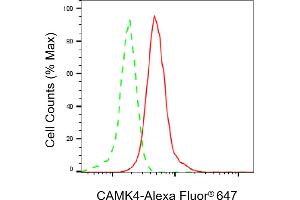 Flow cytometric analysis of CAMK4 expression in HepG2 cells using CAMK4 antibody (ABIN7797838), 1:2,000).