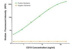 Luminex Assay (LMNX) image for anti-CD19 Molecule (CD19) antibody (ABIN2717399)