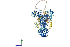 AlphaFold protein structure predicition of Mouse Recombinant Birc2 Protein, UniprotID Q62210