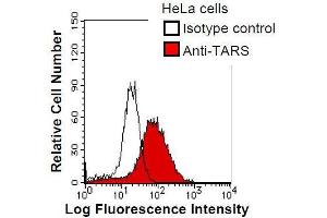 HeLa cells were fixed in 2% paraformaldehyde/PBS and then permeabilized in 90% methanol.