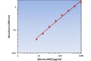 Chemokine (C-C Motif) Ligand 22 (CCL22) ELISA Kit