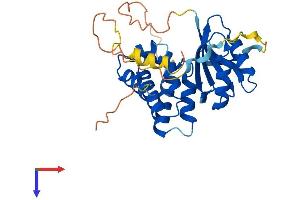 AlphaFold protein structure predicition of Mouse Recombinant Armc1 Protein, UniprotID Q9D7A8